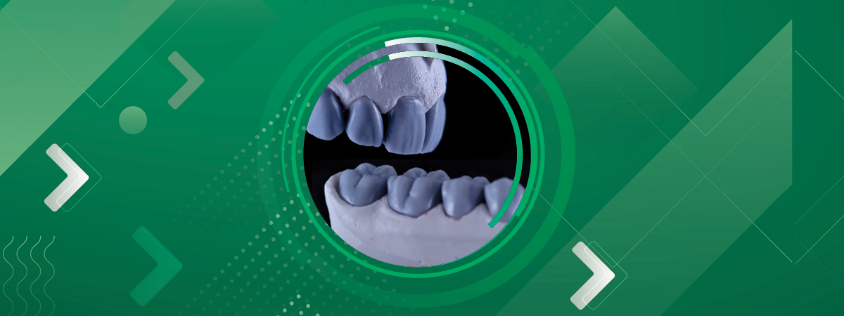 Anatomia e Escultura Dental Progressiva